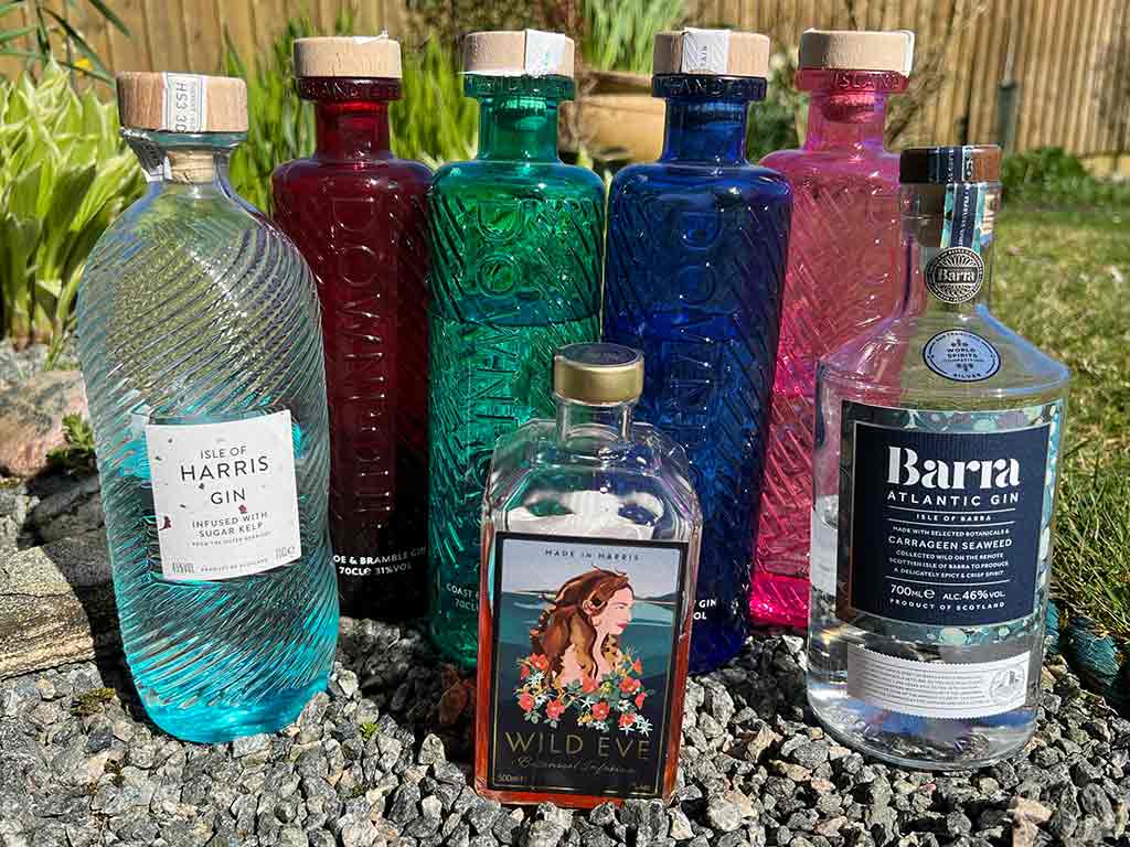 FOOD 16 Coloured bottles of gin in the garden