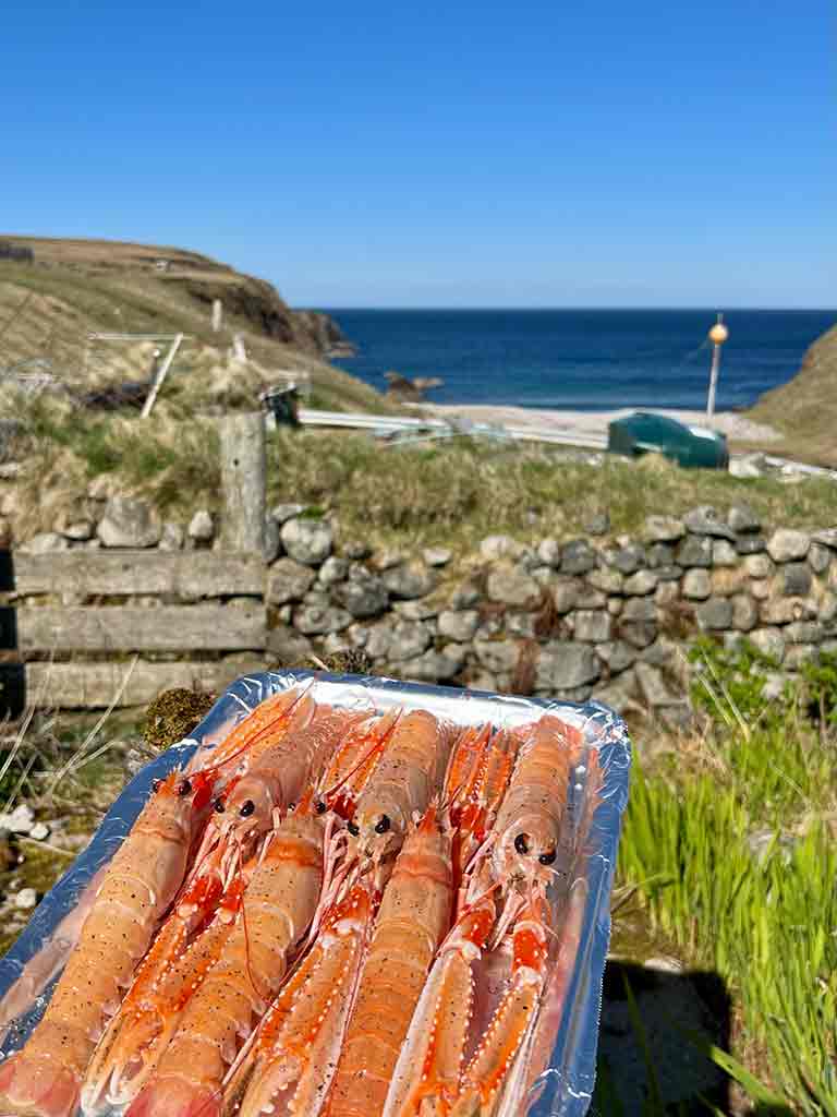 FOOD 25 A tray of fresh langoustines in front of Aird Bay