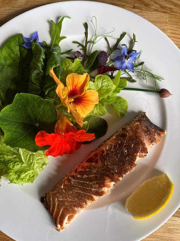 FOOD 4 Salmon starter with croft salad