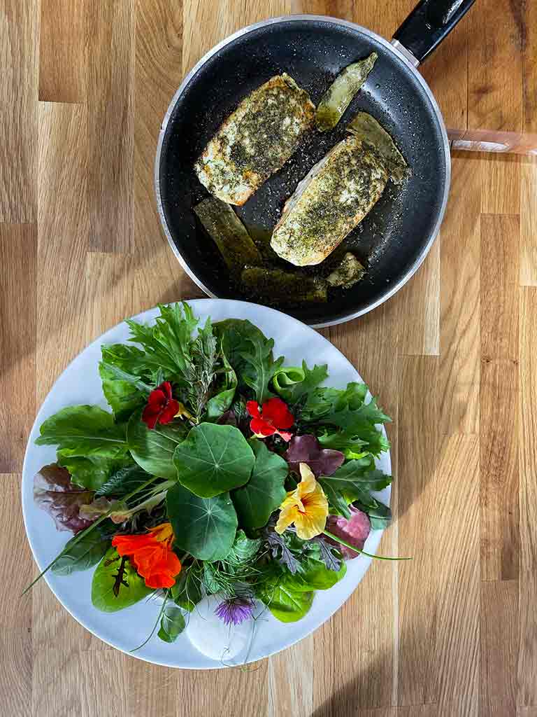 FOOD 5 Large fillets of halibut ina pan next to a bowl fo bright, colourful salad leaves and edible flowers